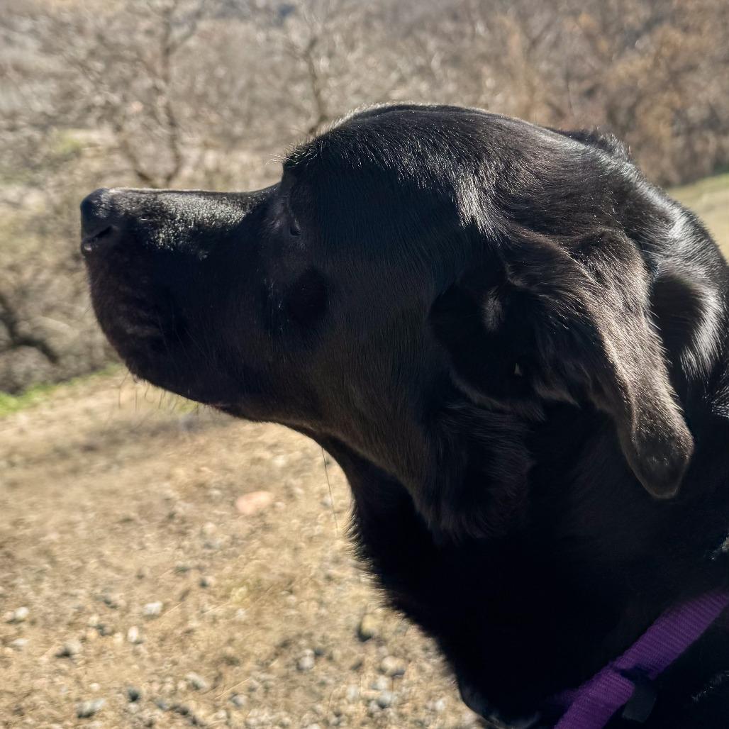 Boost — thumbnail 3