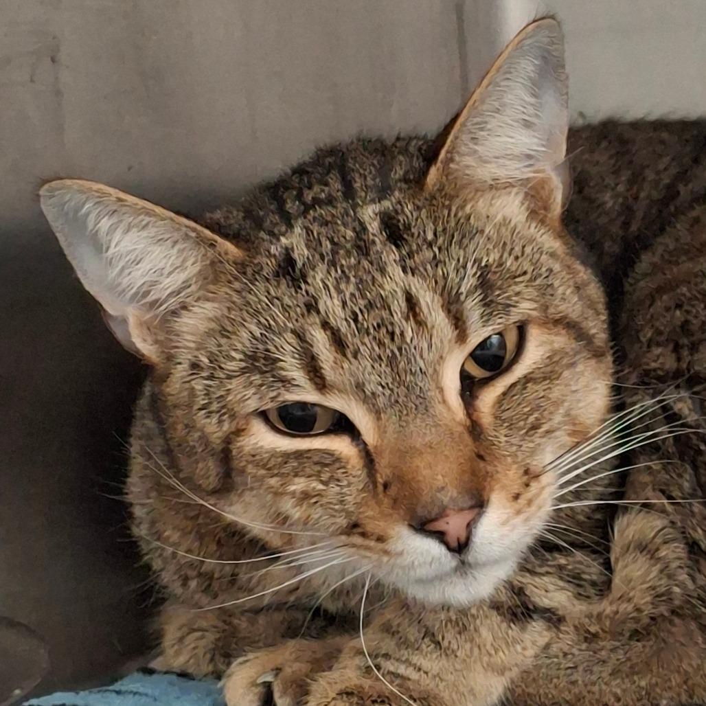 Parker — thumbnail 2