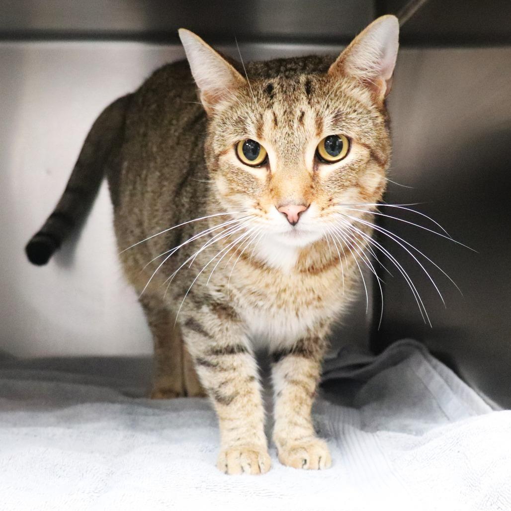 Parker — thumbnail 5