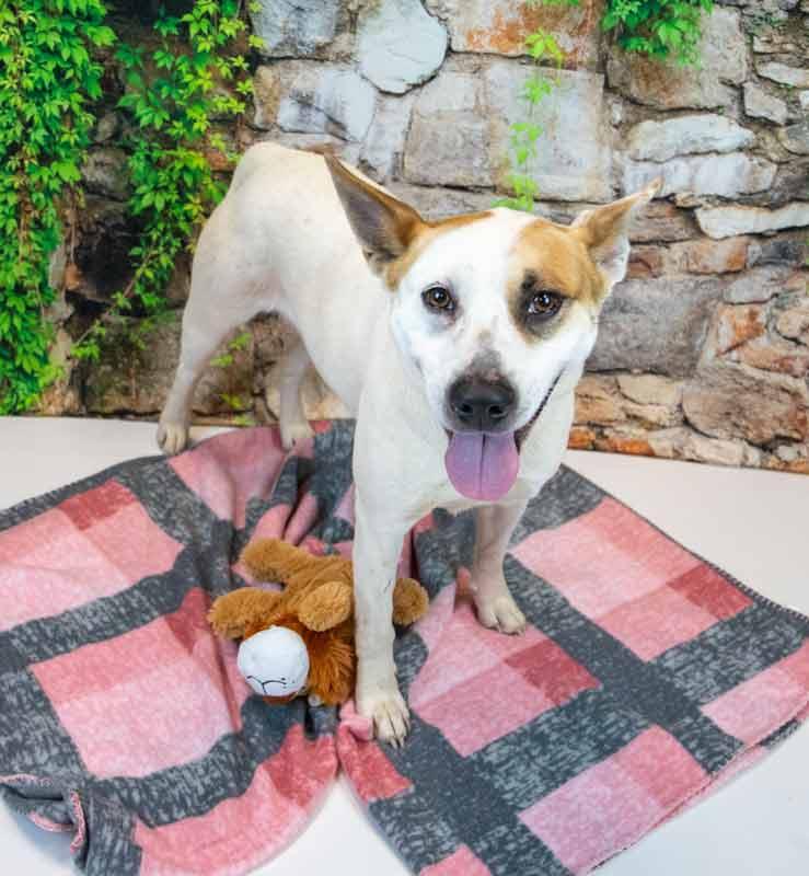 Natalie — thumbnail 5