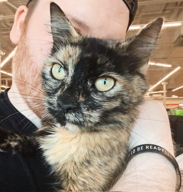 Enlarge Abigail Flufferton, an adopted mixed breed in Philadelphia, PA image 2/6