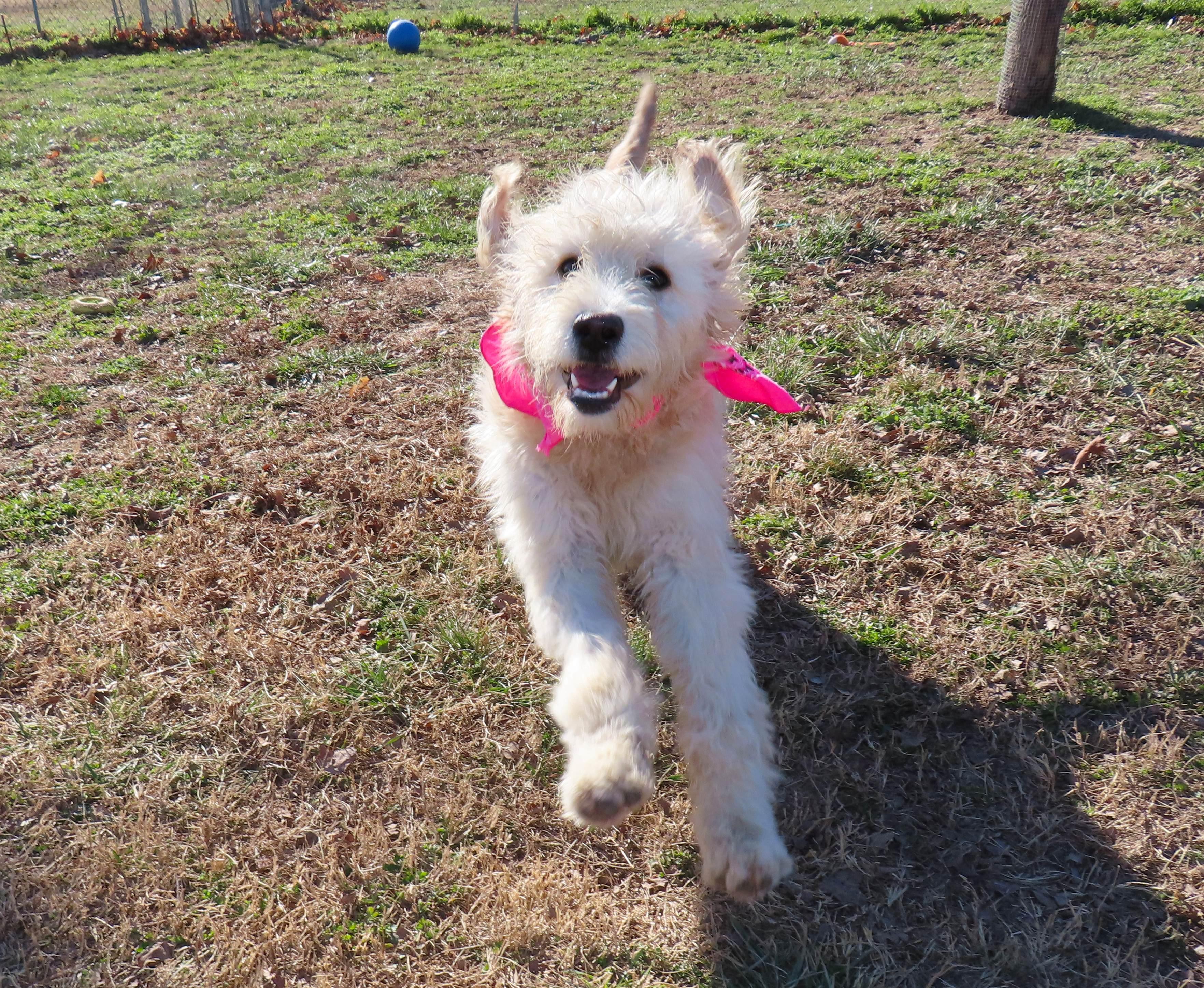 Miata  C thumbnail 2