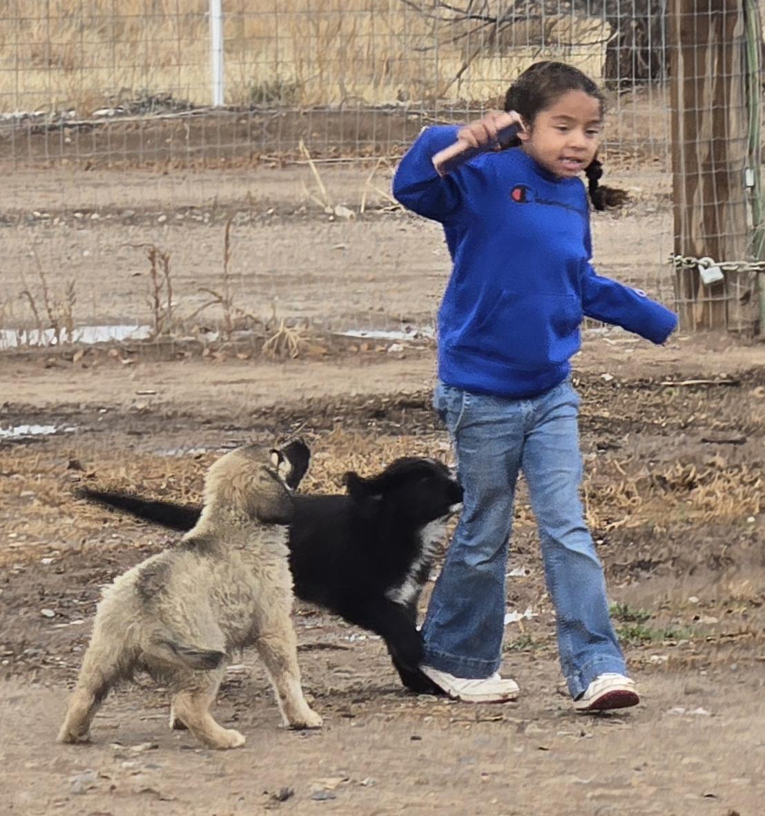 Enlarge **WILLIAM H BONNEY (Billy the Kid), an adopted mixed breed in Peralta, NM image 3/3