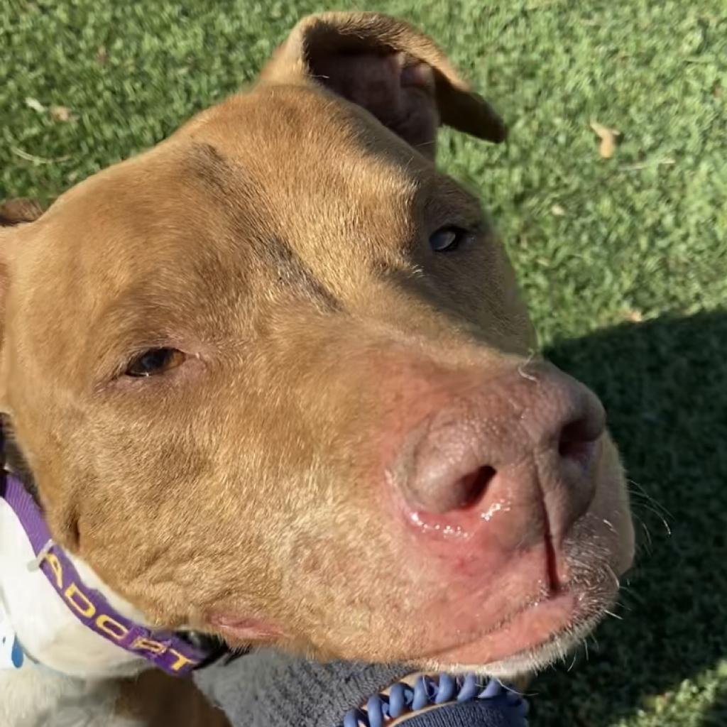 Matilda — thumbnail 2