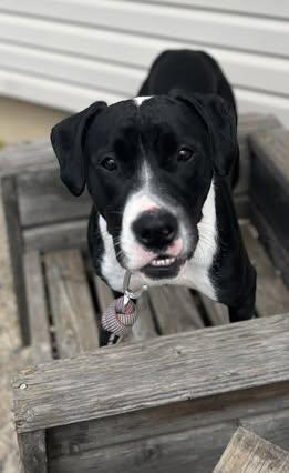 Lena