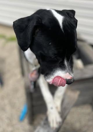 Lena