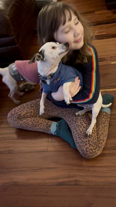 Enlarge Jack Sparrow, a ADOPTABLE mixed breed in Whitewater, WI video 4/6