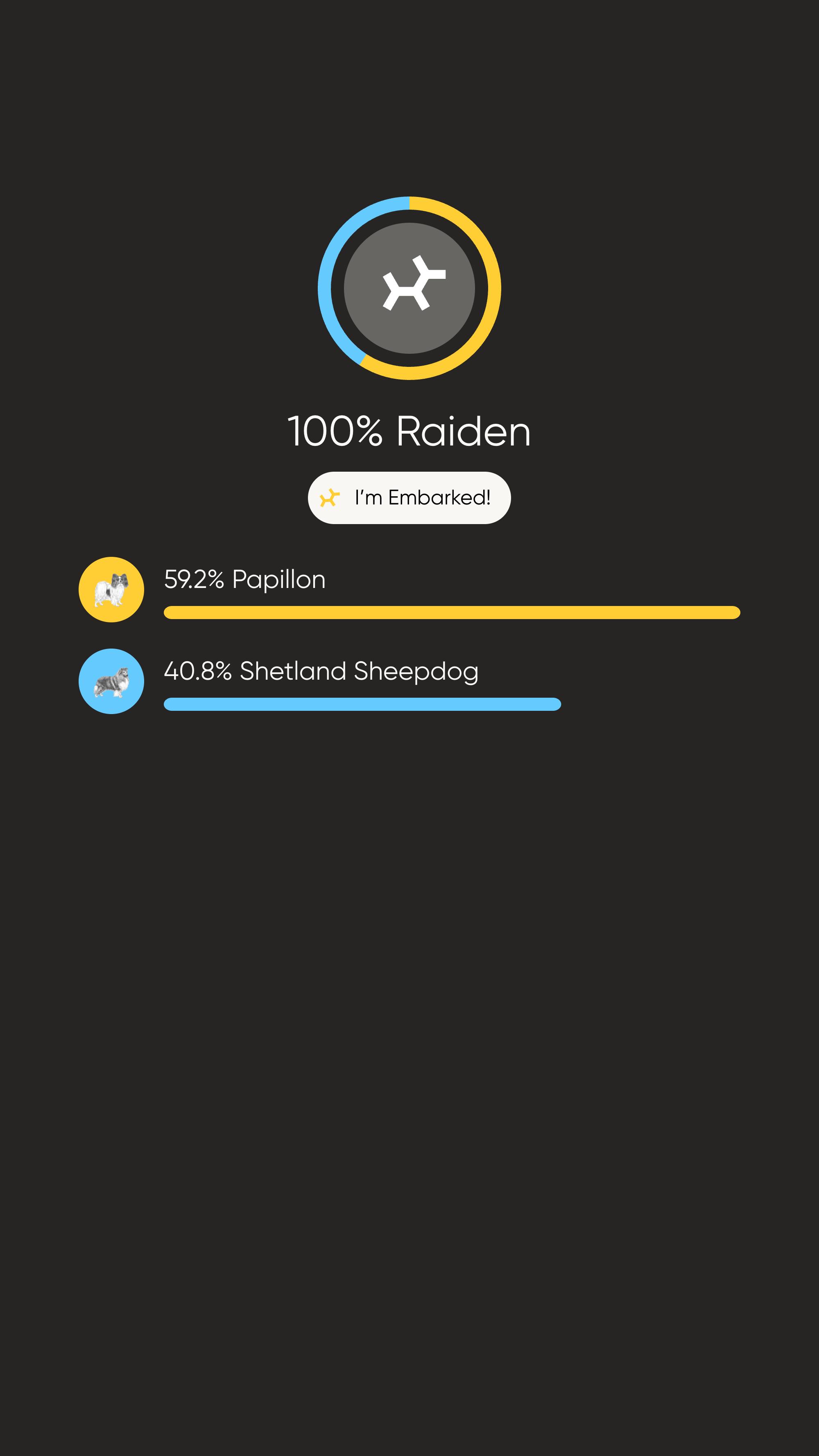 Enlarge Raiden, a Adoptable mixed breed in Charlotte, NC image 4/4