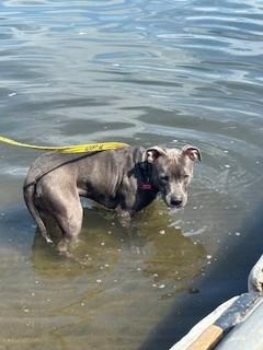 Oakley