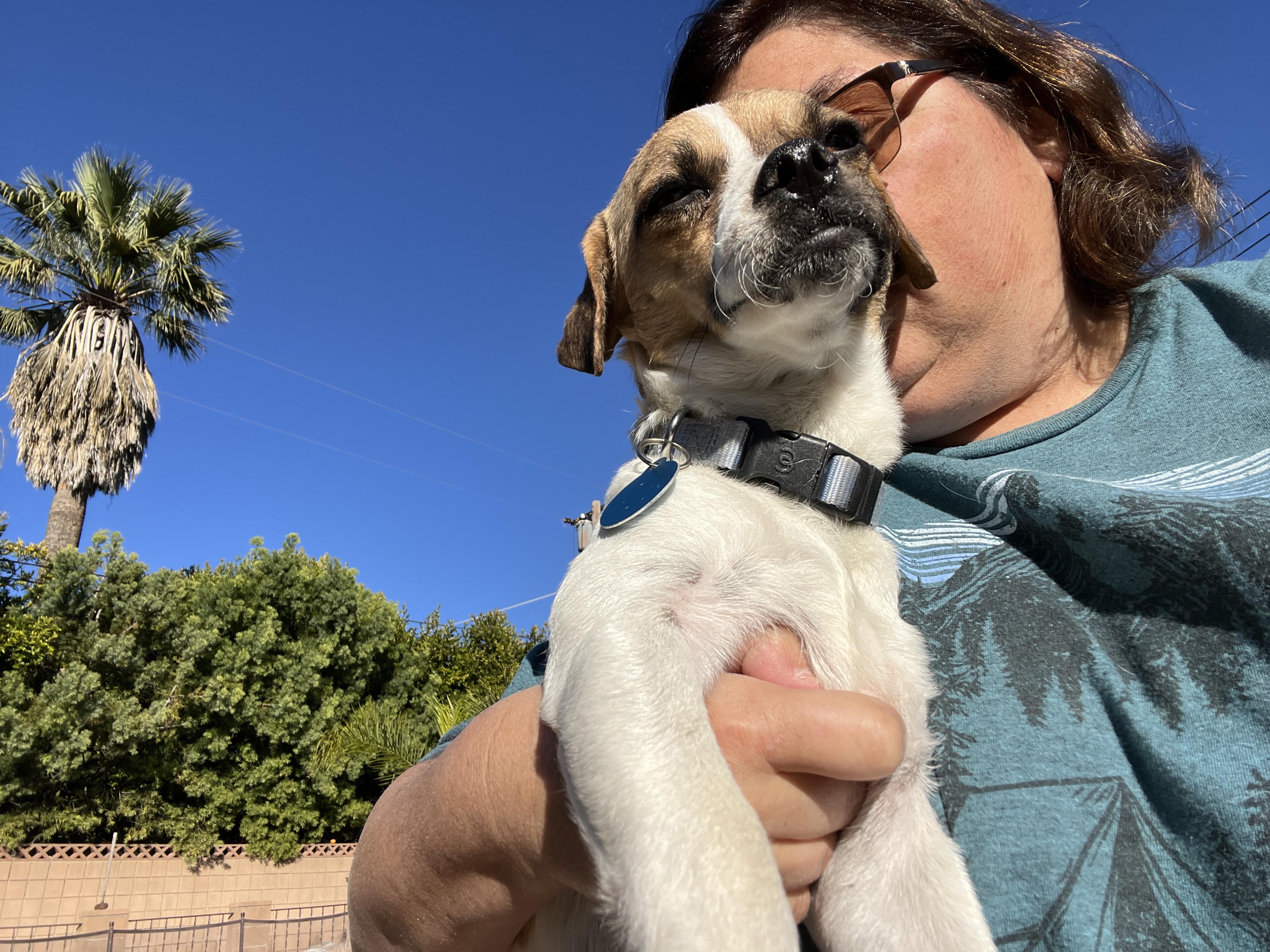 Enlarge Buster, a ADOPTABLE mixed breed in Surrey, BC image 4/5