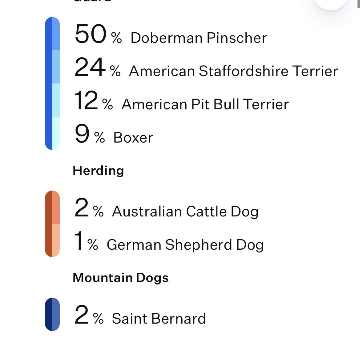 Enlarge Porsche , a ADOPTABLE mixed breed in Lincoln, CA image 6/6