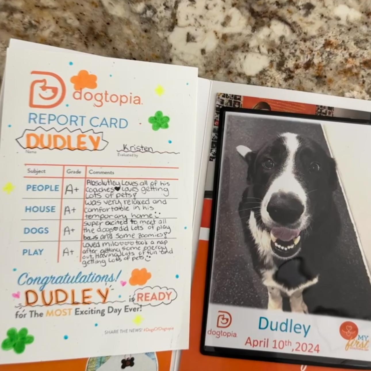 Enlarge Dudley, an adopted mixed breed in magnolia, TX image 2/6