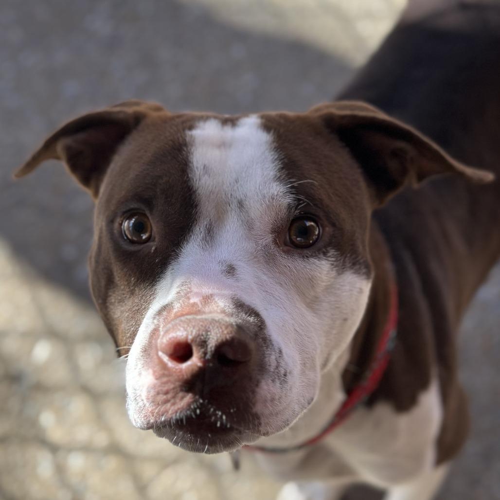 Canyon 4506 — thumbnail 2