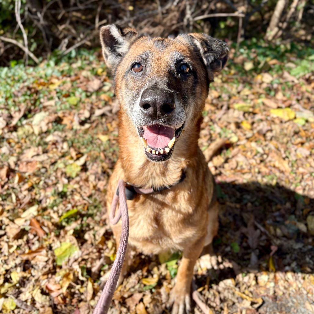 Margaret — thumbnail 2