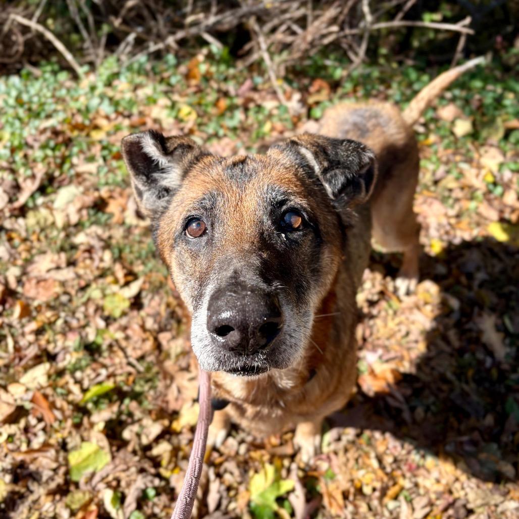 Margaret — thumbnail 3