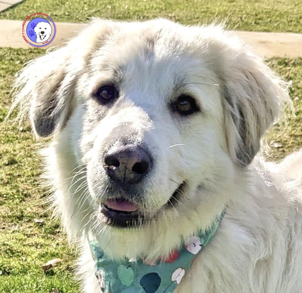 Izzy — thumbnail 4