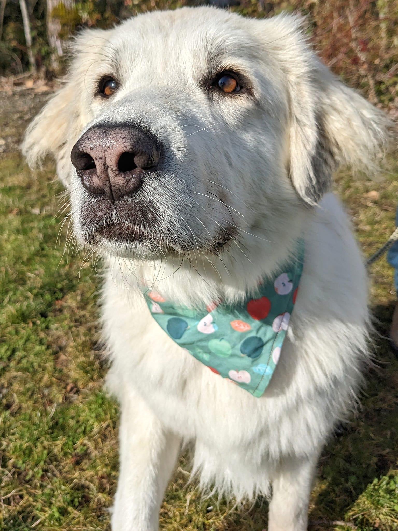 Izzy — thumbnail 5