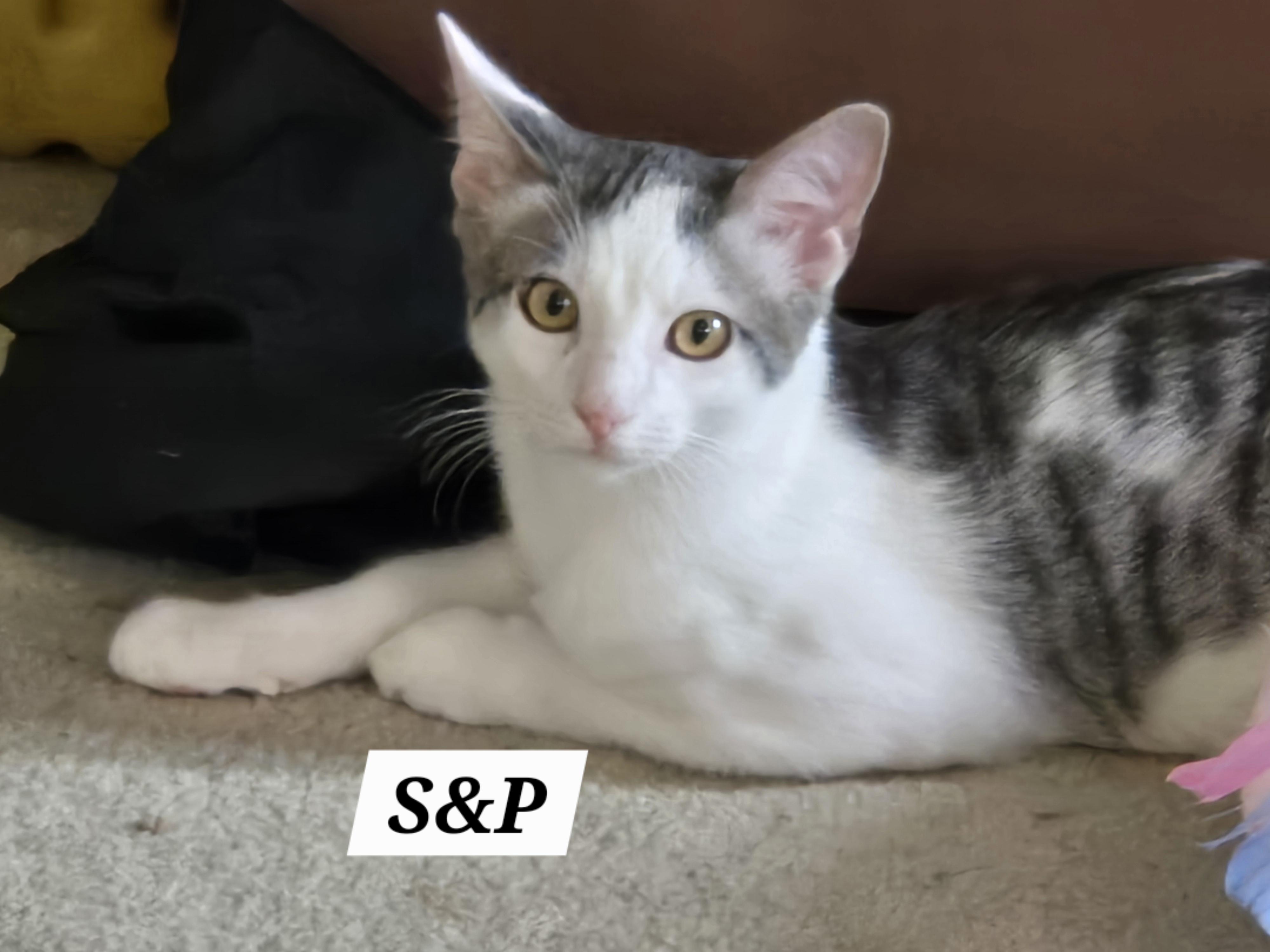 Salt & Pepper
