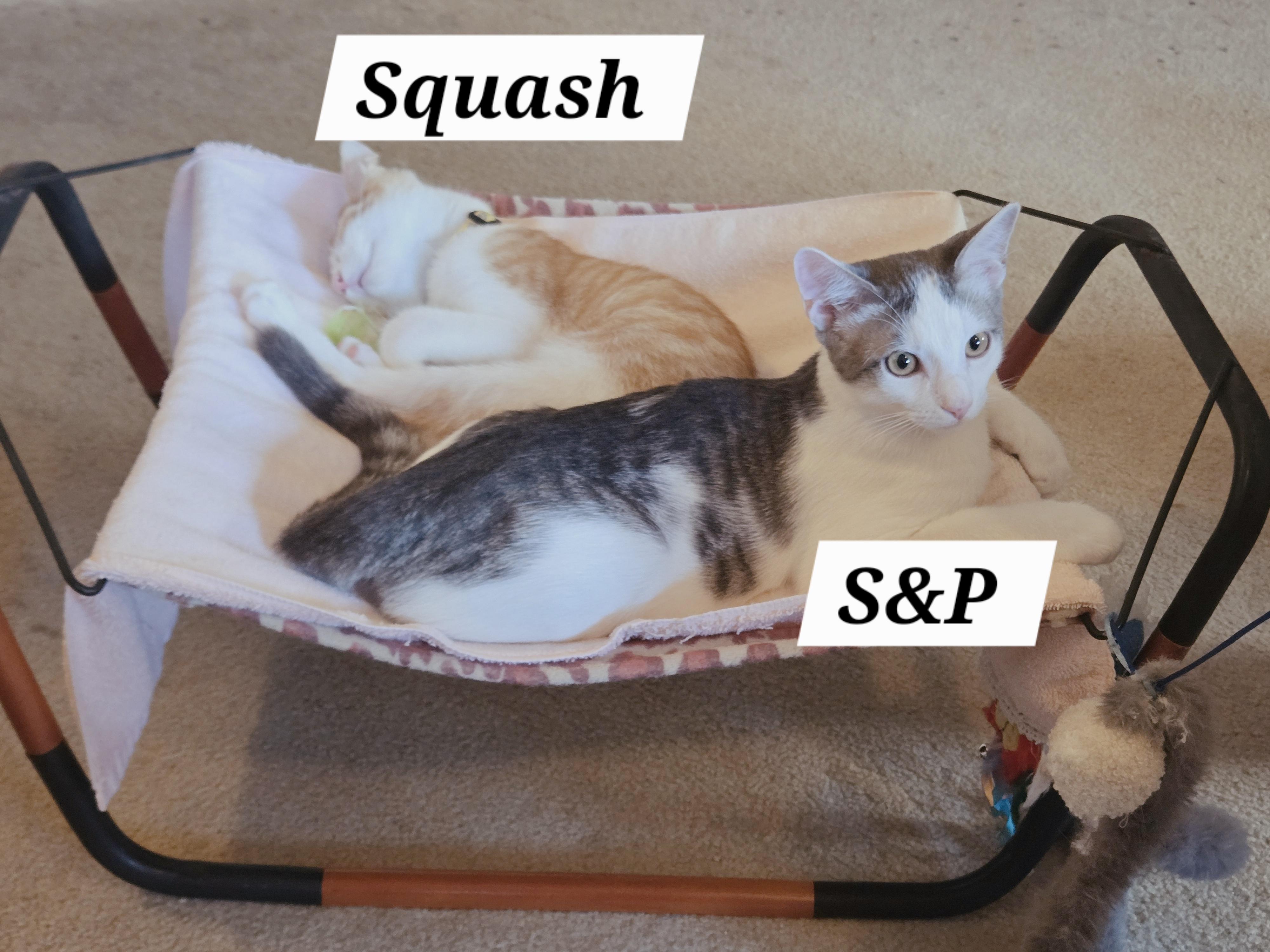 Salt & Pepper