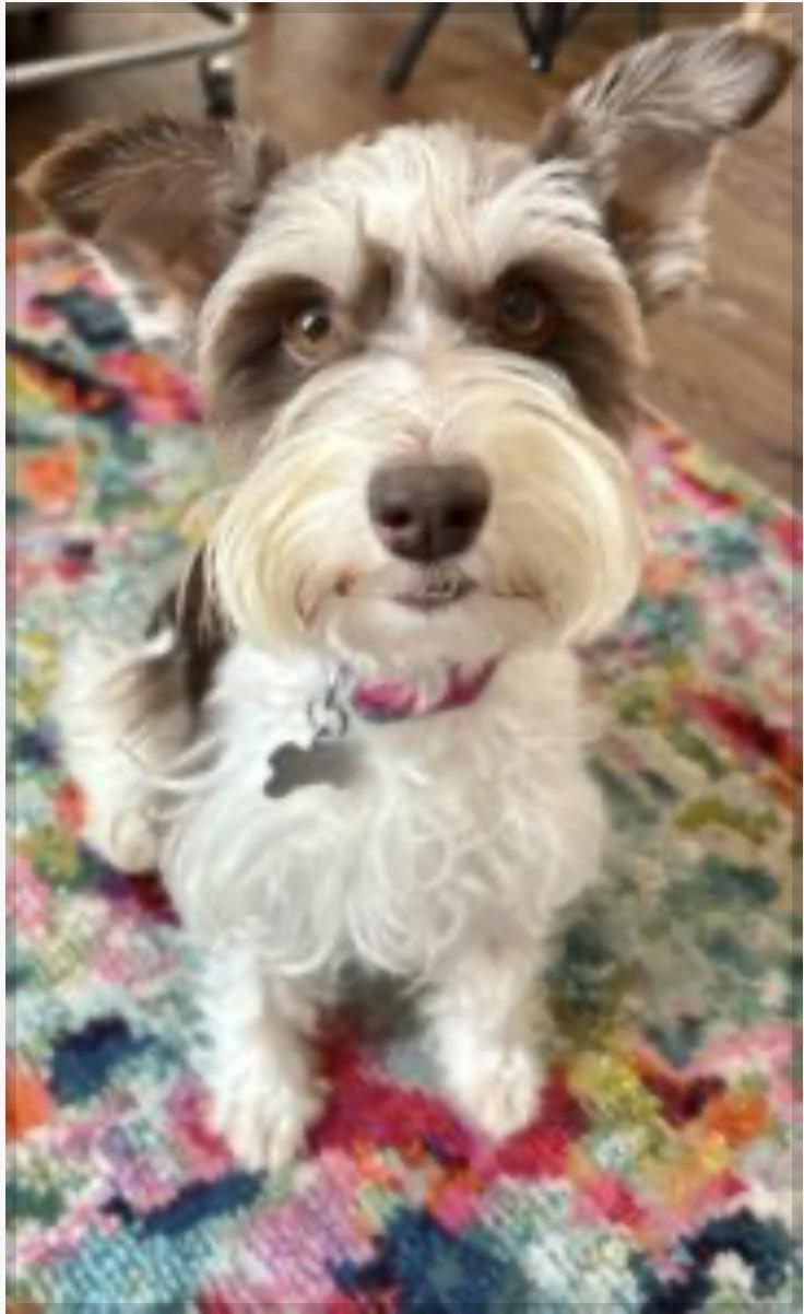 Tilly