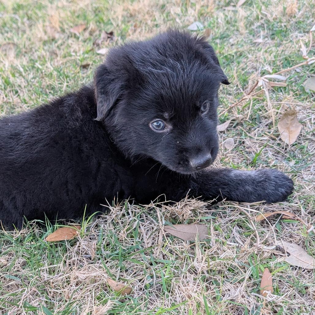 Kingston — thumbnail 2