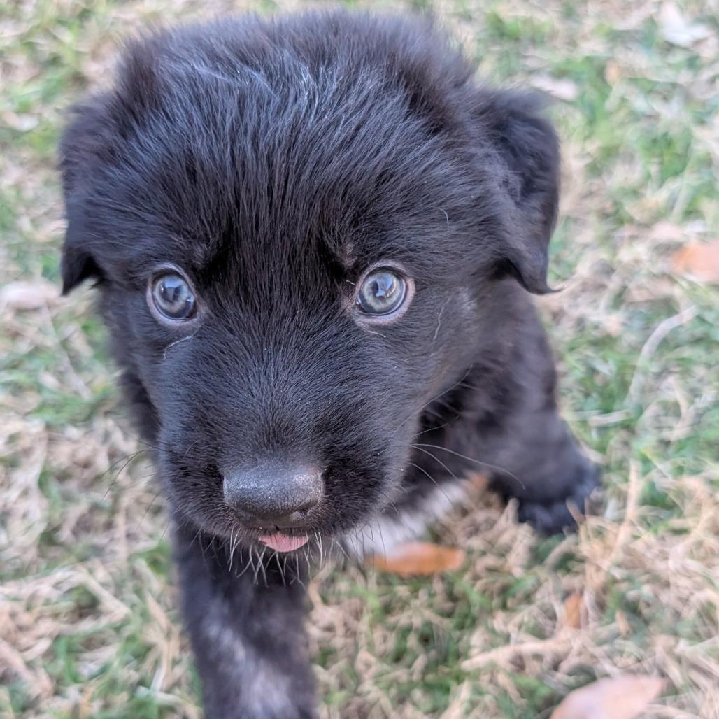 Kingston — thumbnail 4