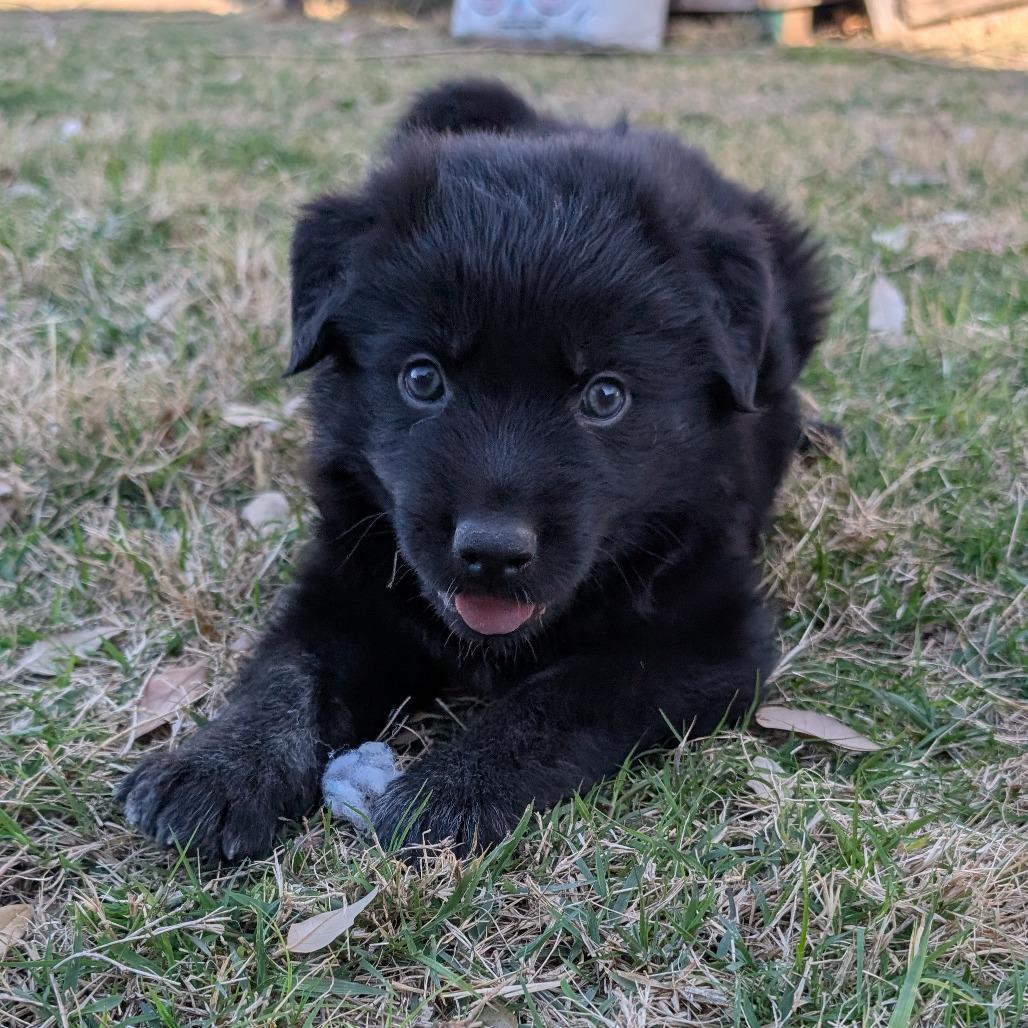 Kingston — thumbnail 5