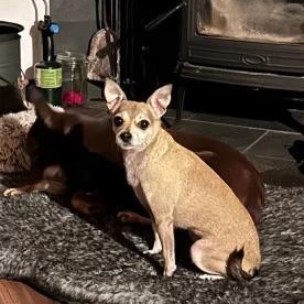 Rosie