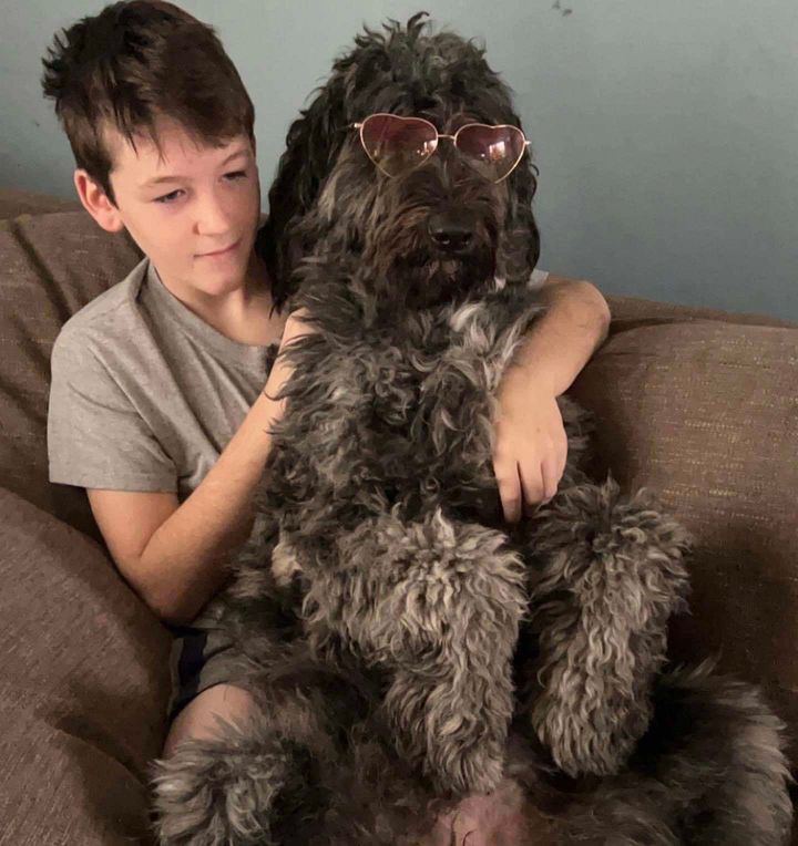 Maggie, a Adopted mixed breed in spring hill, FL image 4/4