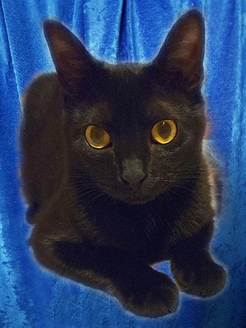 Rosie photo 1