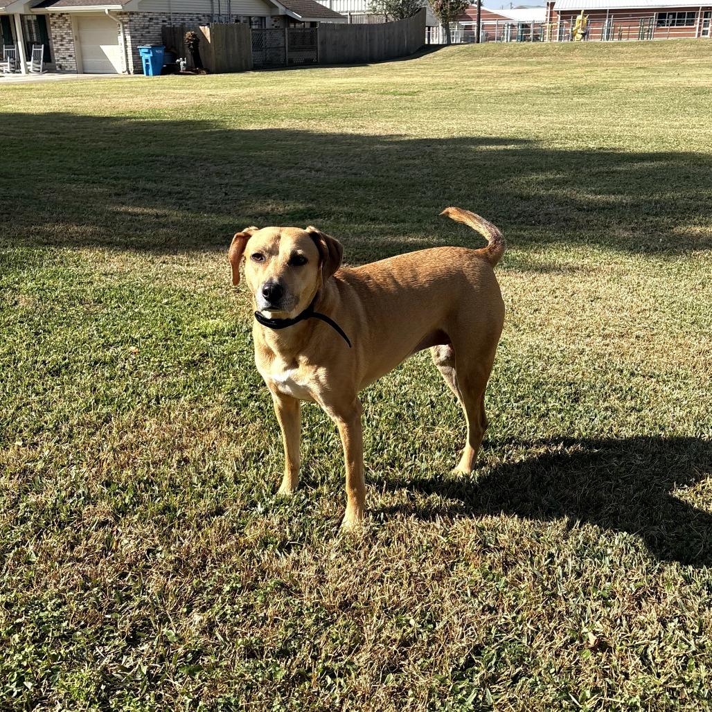 Grace — thumbnail 2