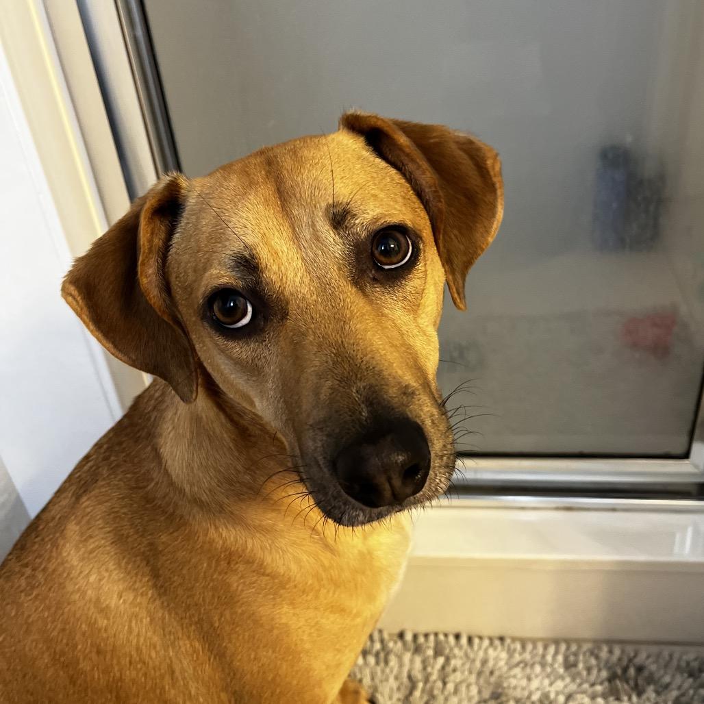 Grace — thumbnail 3