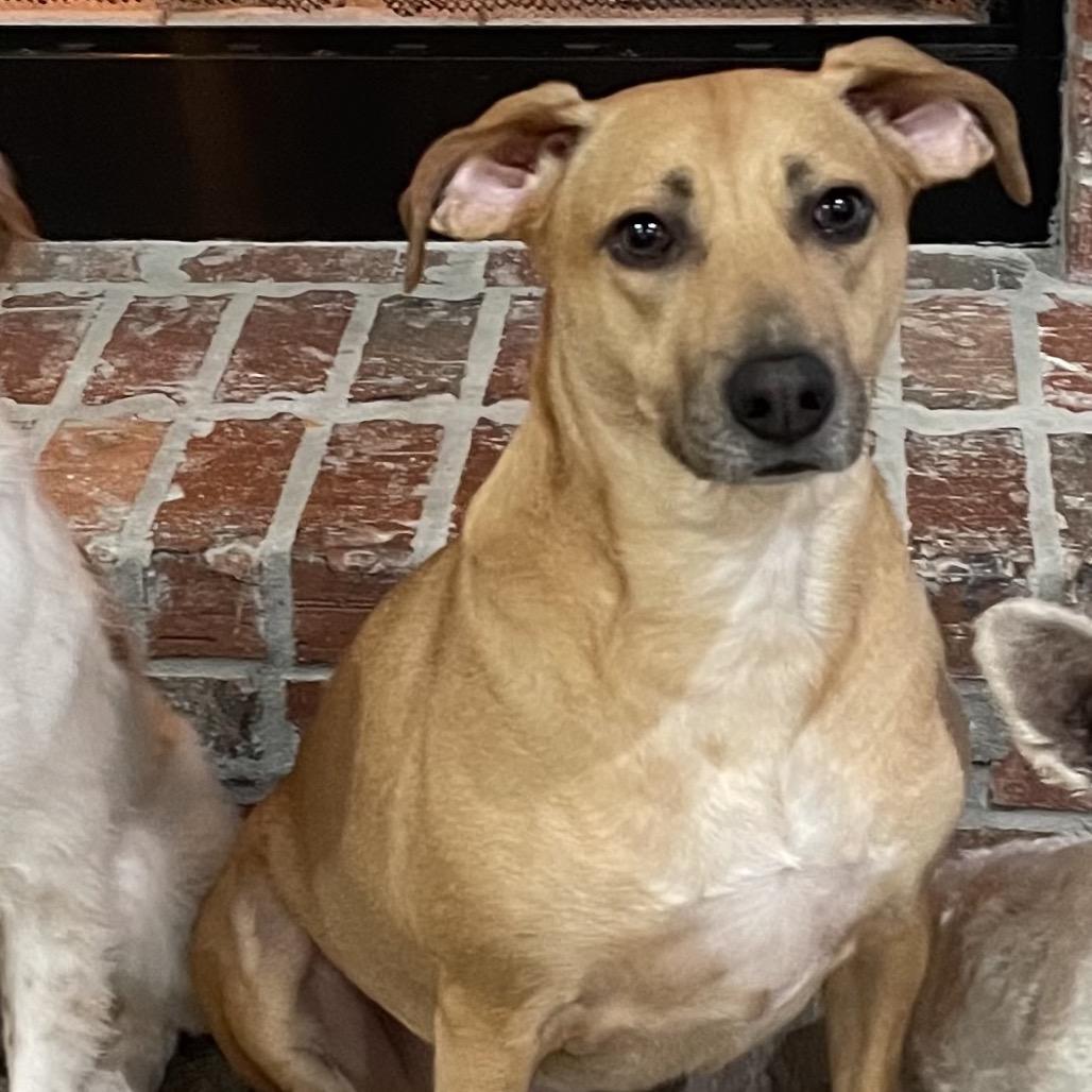 Grace — thumbnail 4