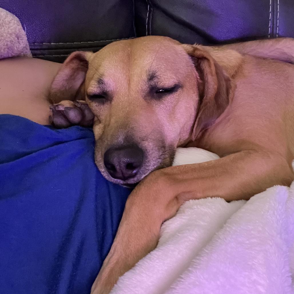 Grace — thumbnail 5