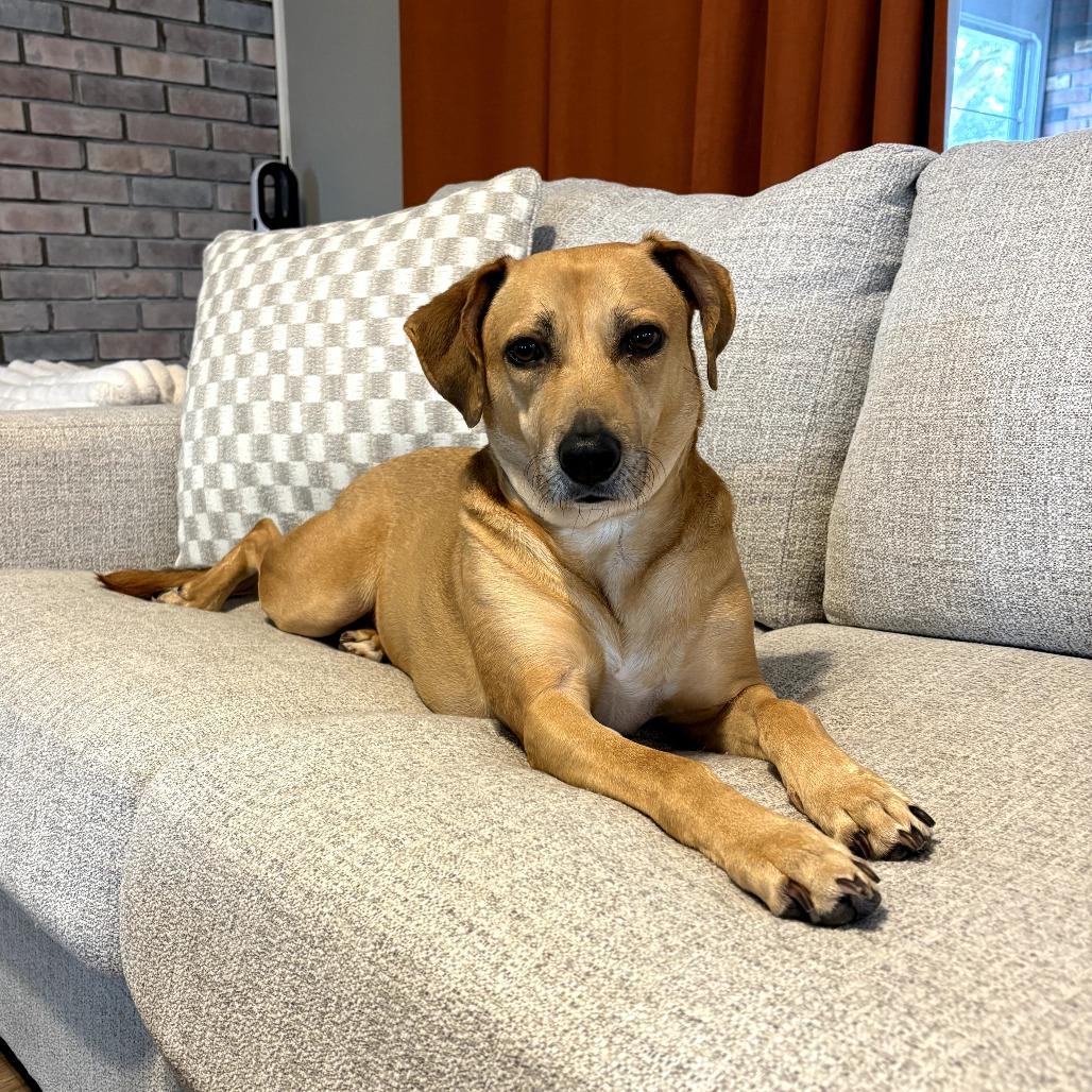 Grace — thumbnail 6