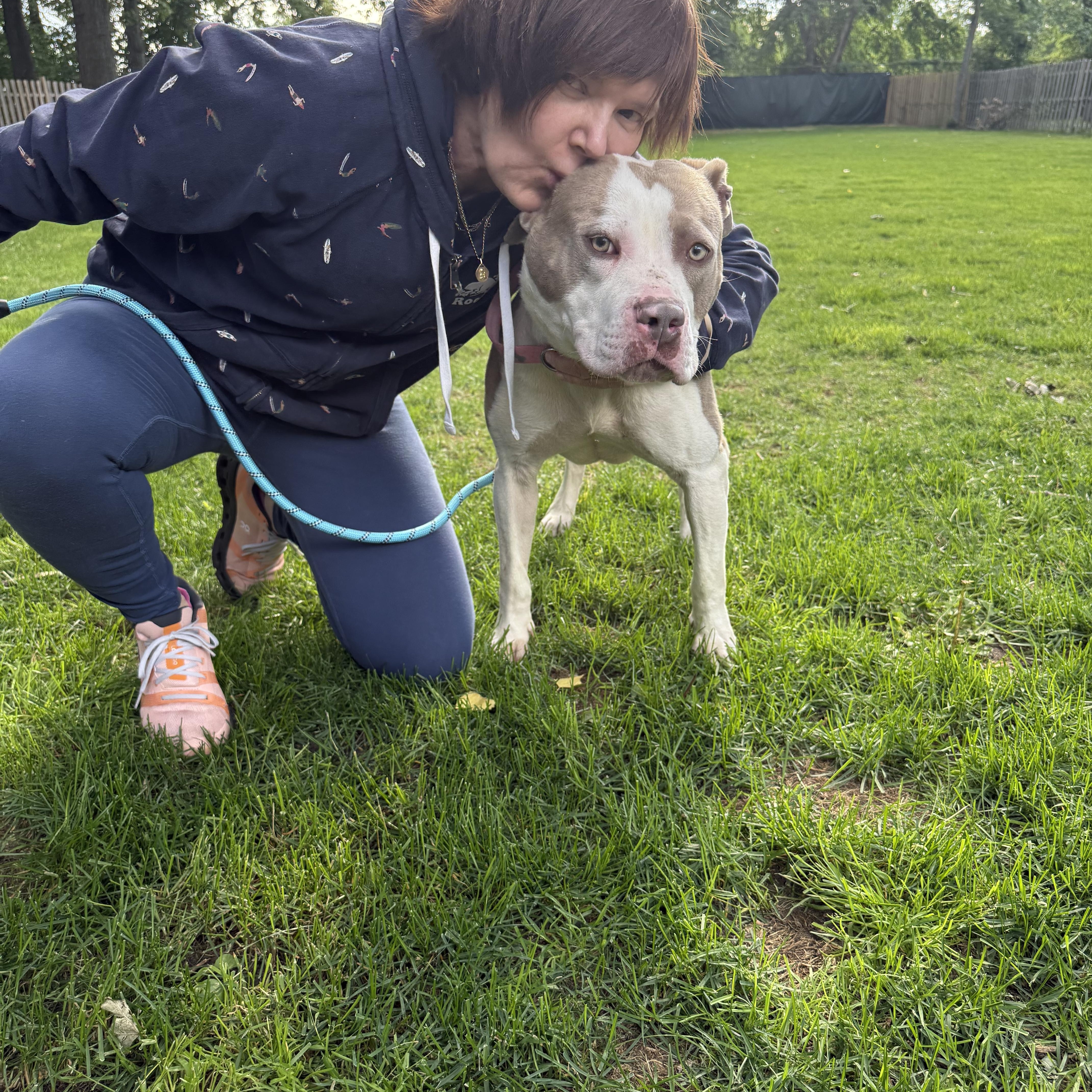 Larry, a ADOPTABLE mixed breed in Pleasant Ridge, MI image 5/5