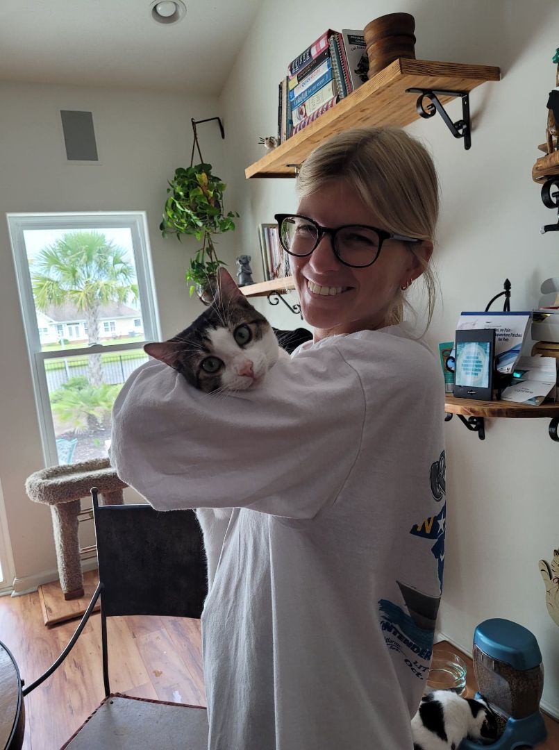 Linny (named after the street he was found), a Adoptable mixed breed in North Myrtle Beach, SC image 3/12