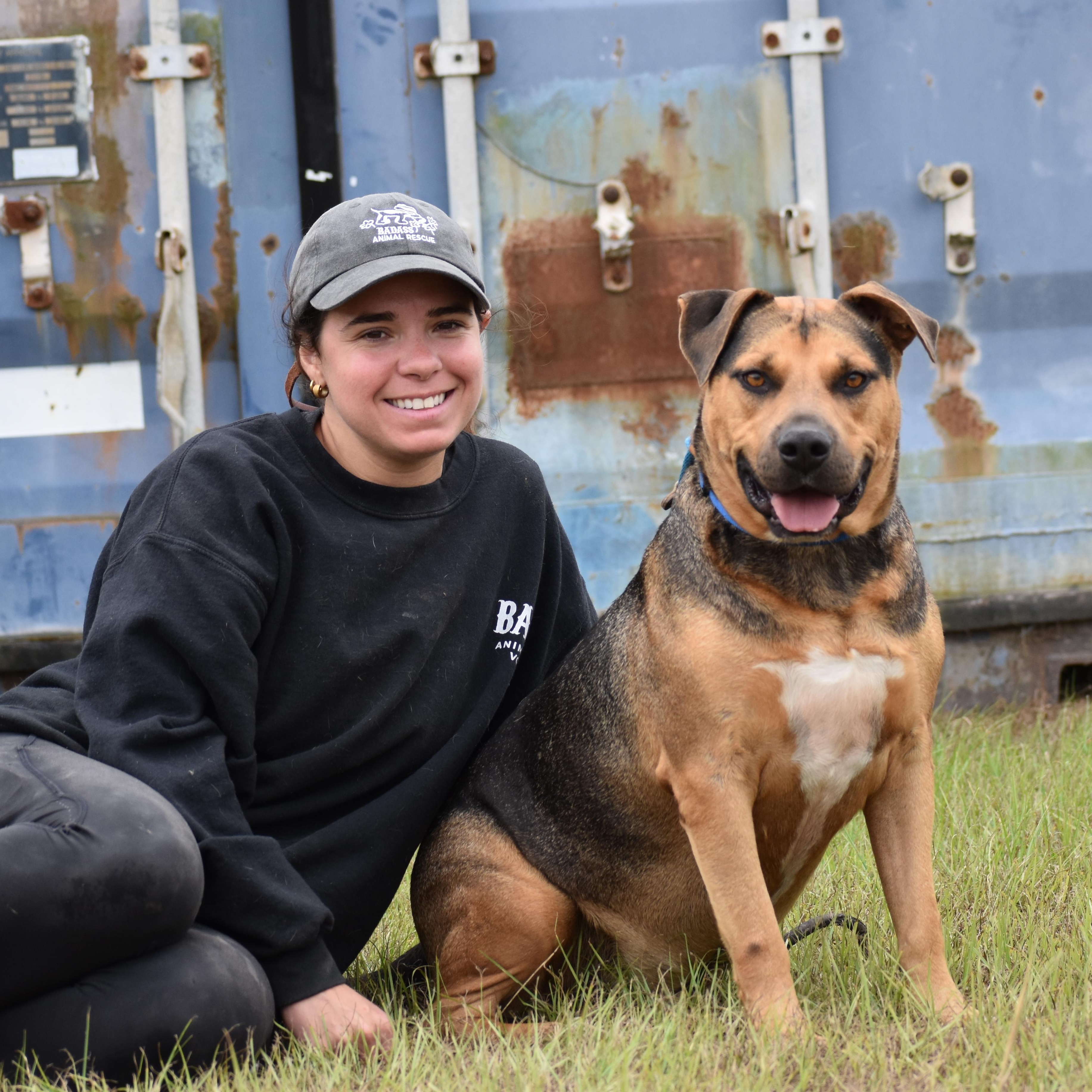Enlarge Bobby Okereke, a Adoptable Shepherd in Brooklyn, NY image 4/6