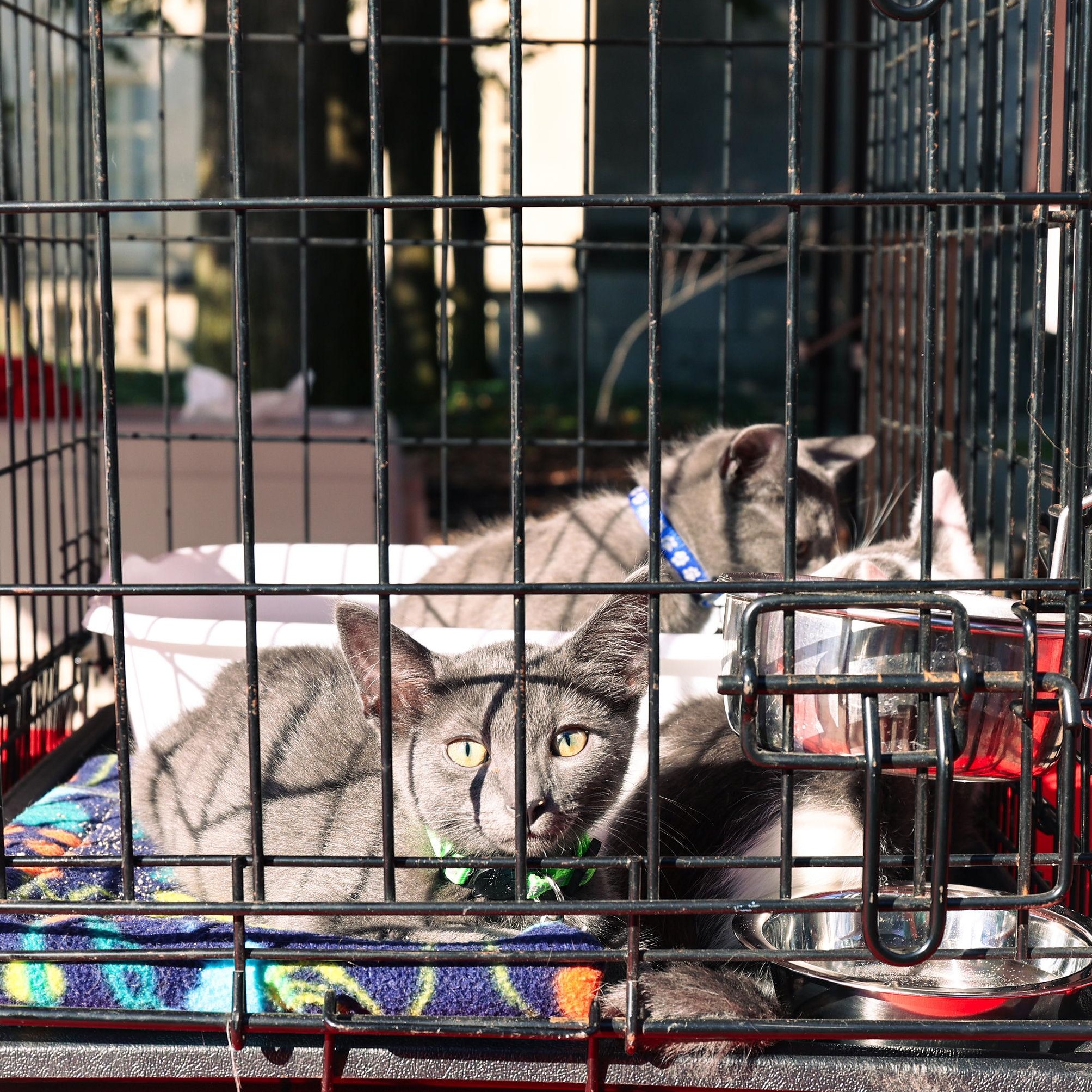 Mr. Burns thumbnail 3