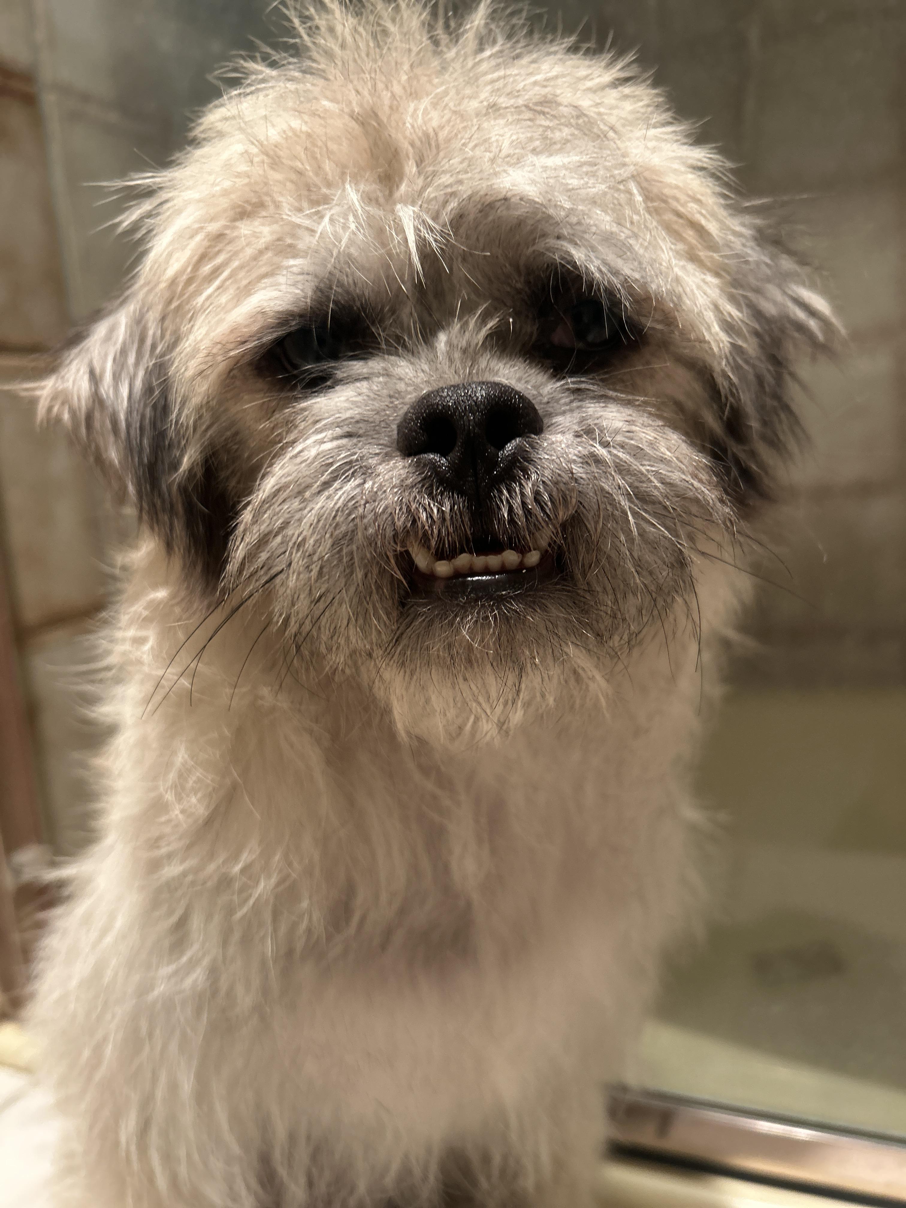 CHARLIE photo 5