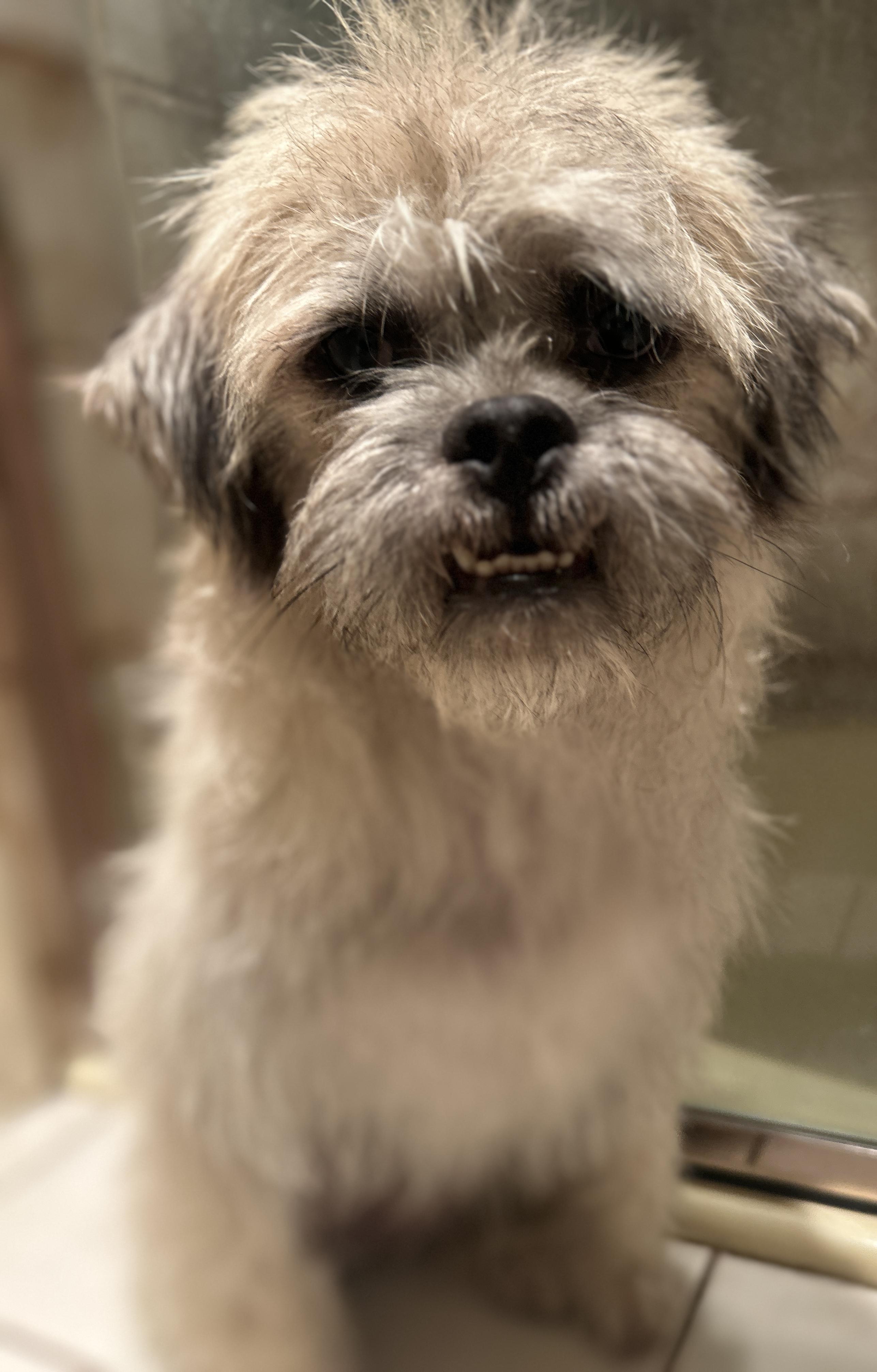 CHARLIE photo 4