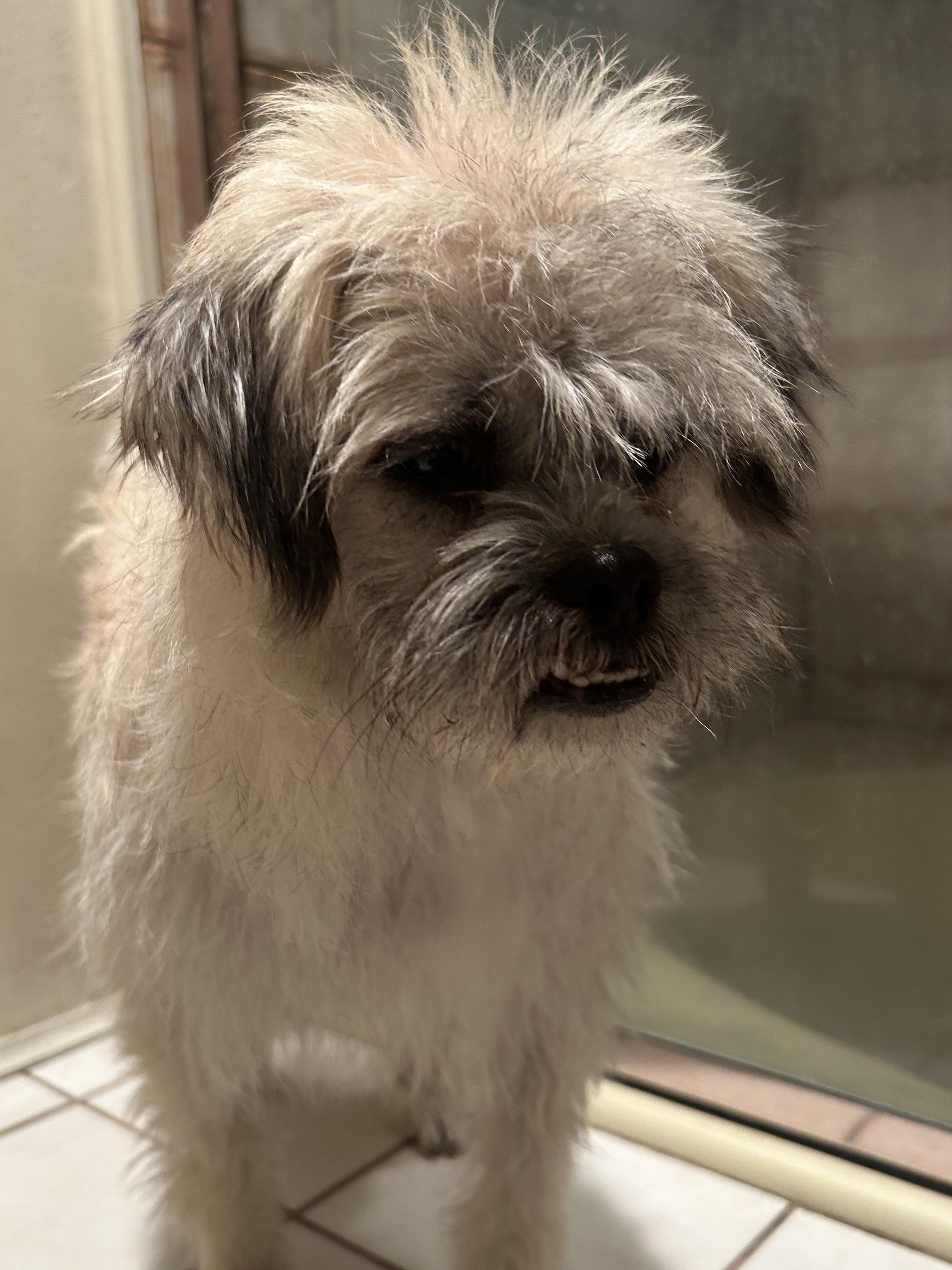 CHARLIE photo 3