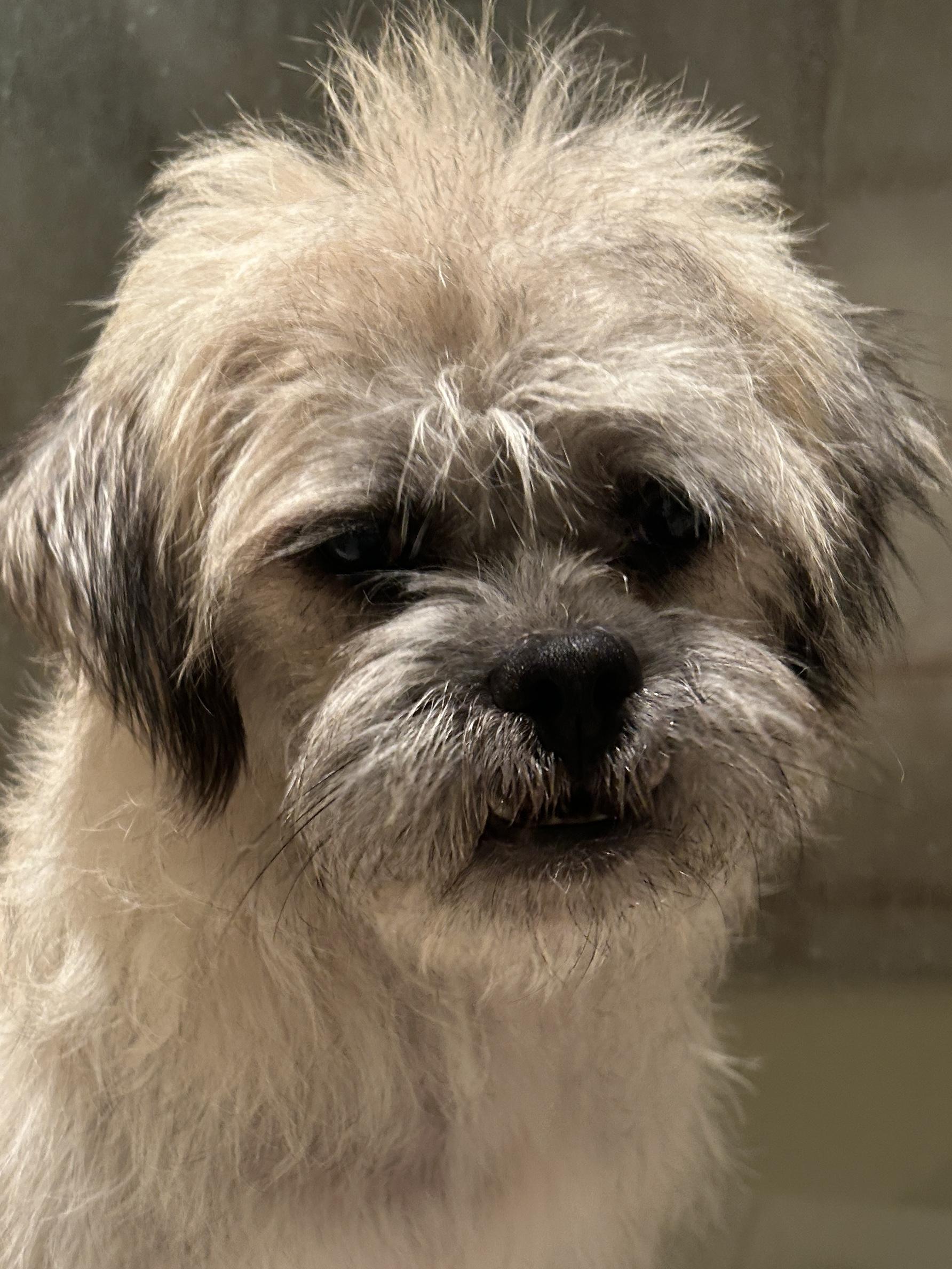 CHARLIE photo 2