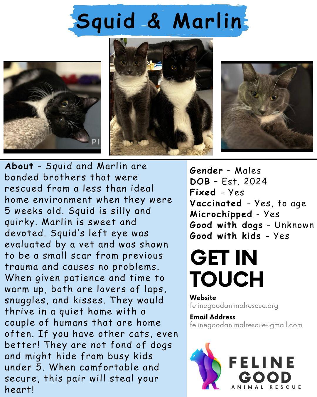 Squid & Marlin - Bonded Brothers