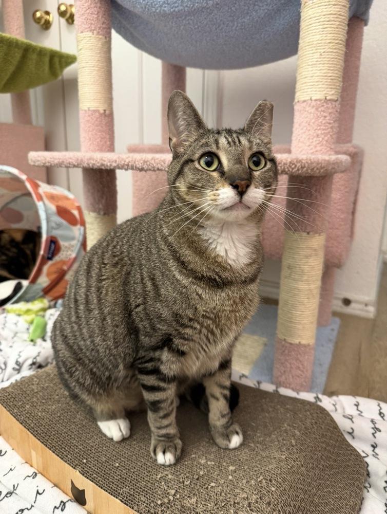 Maui — thumbnail 3