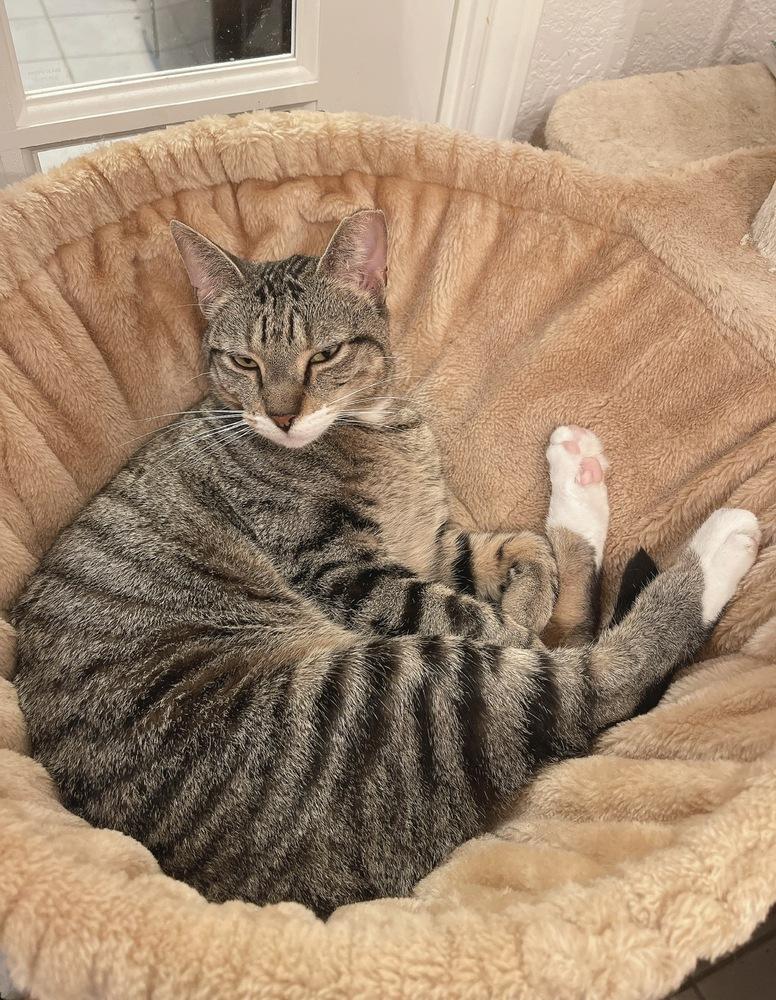 Maui — thumbnail 4