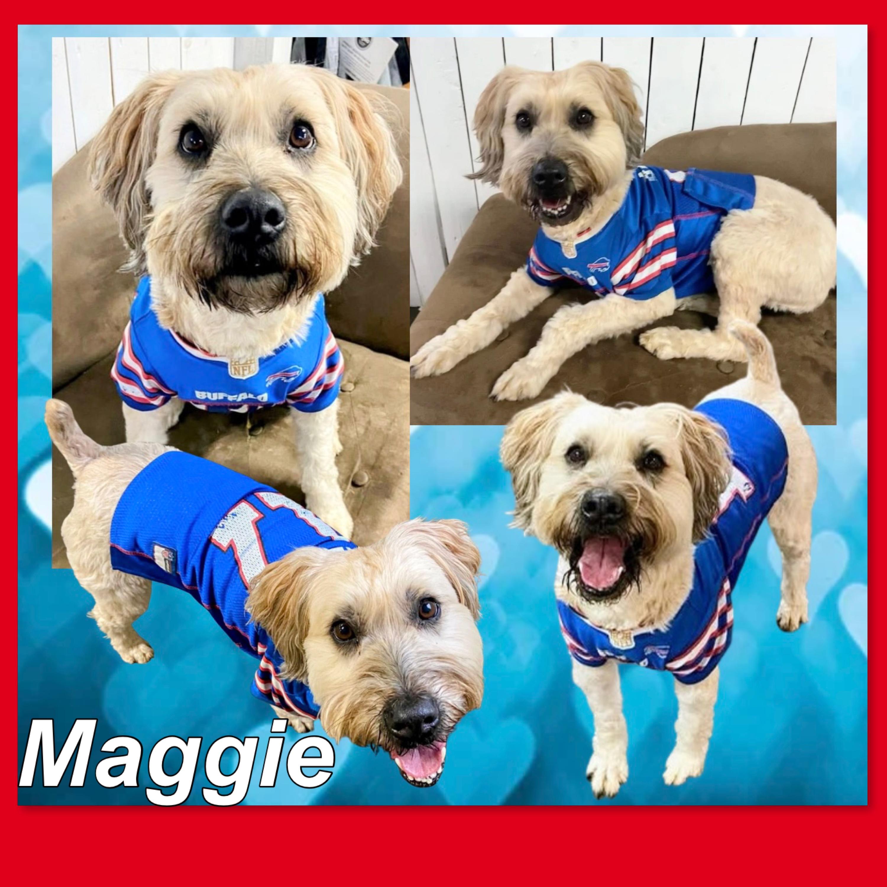 Maggie thumbnail 3