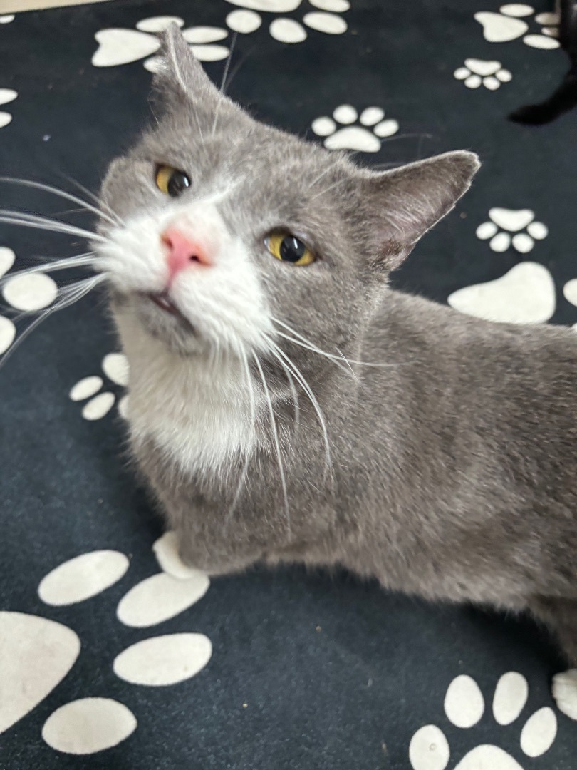 Ross (bonded with Gunther) 