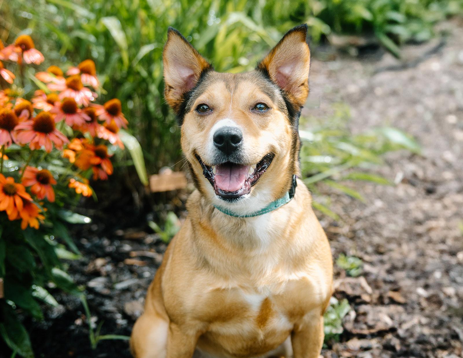 Zoe
