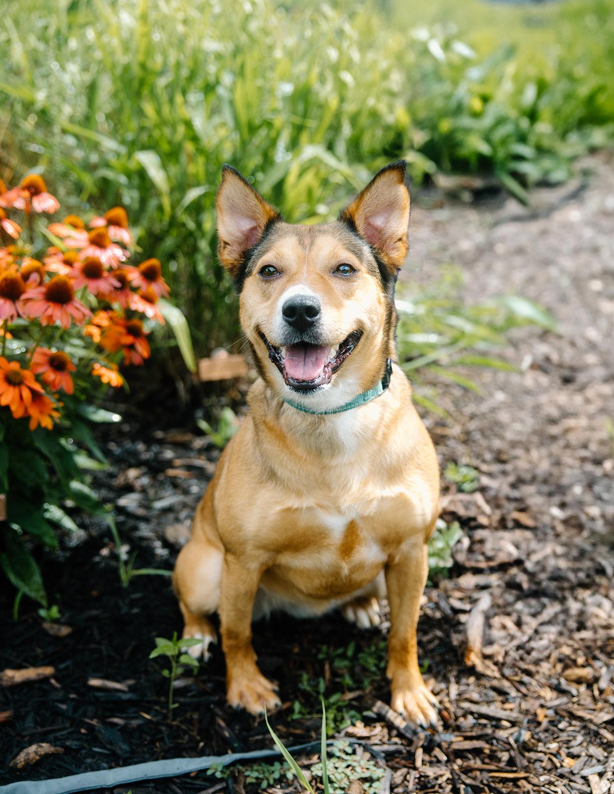 Zoe